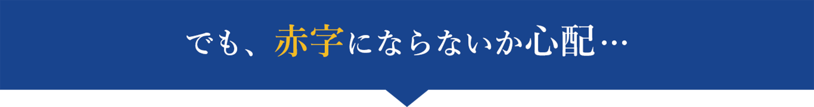 でも、赤字にならないか心配…